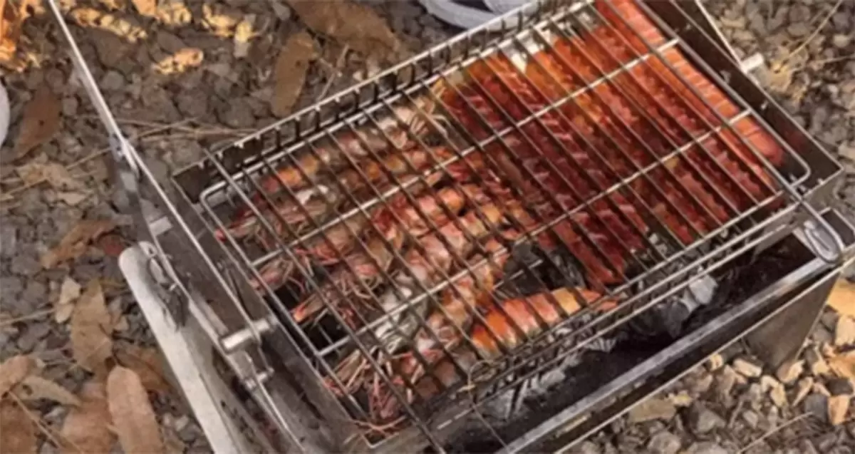 Draaibare en opvouwbare barbecuegrill zorgt voor Koreaanse golfkampeergekte